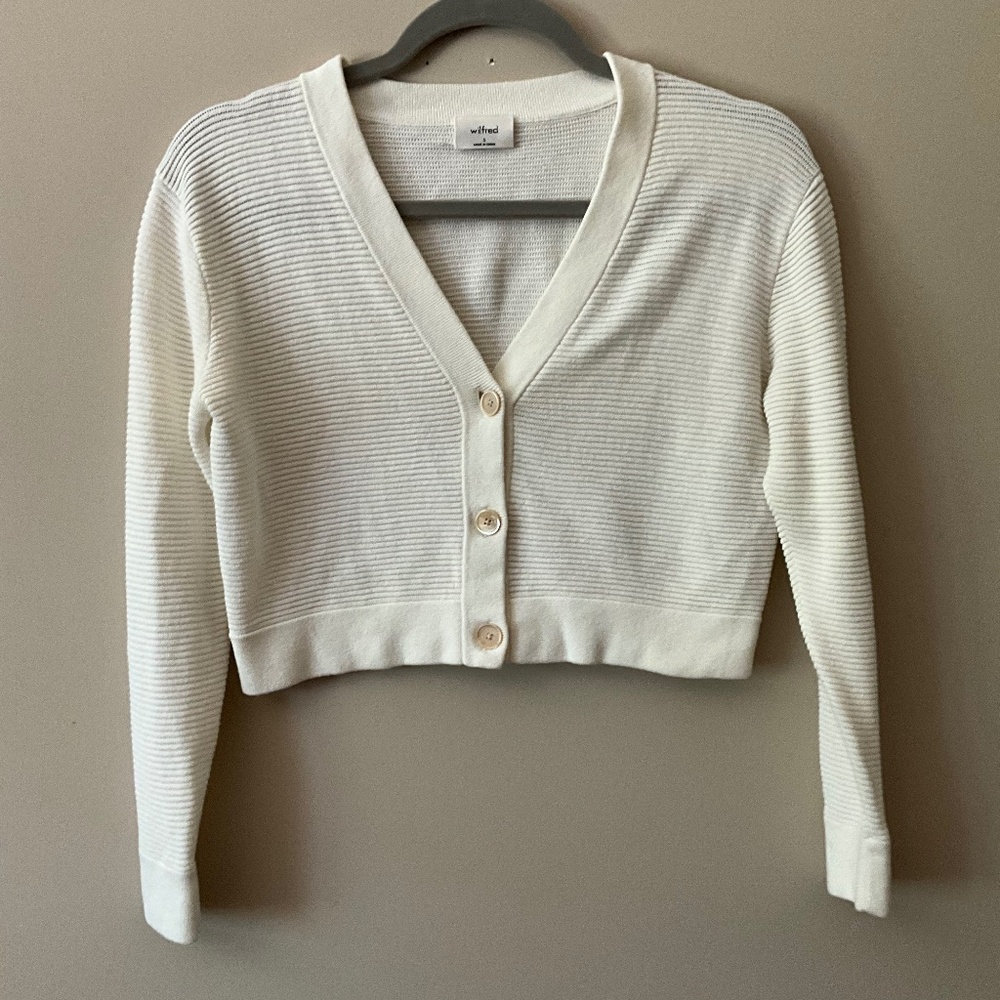 Aritizia cropped sweater